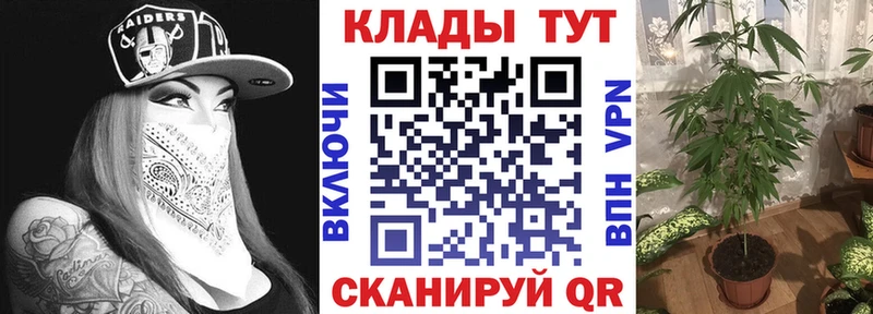 Псилоцибиновые грибы Малмыж