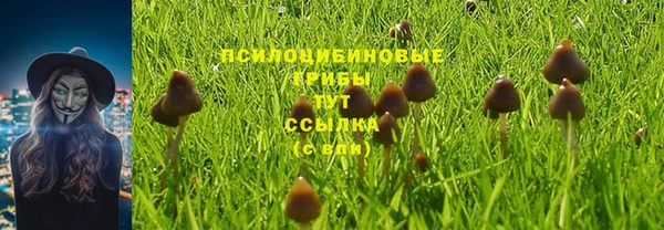 гашик Армянск